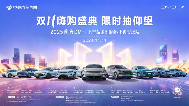 [上海市]&ldquo;双11嗨购盛典 限时抽仰望&rdquo;
